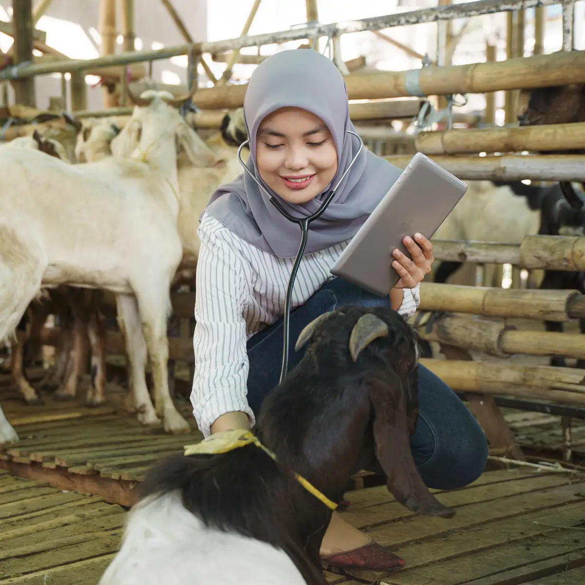 Sesuai Syariat